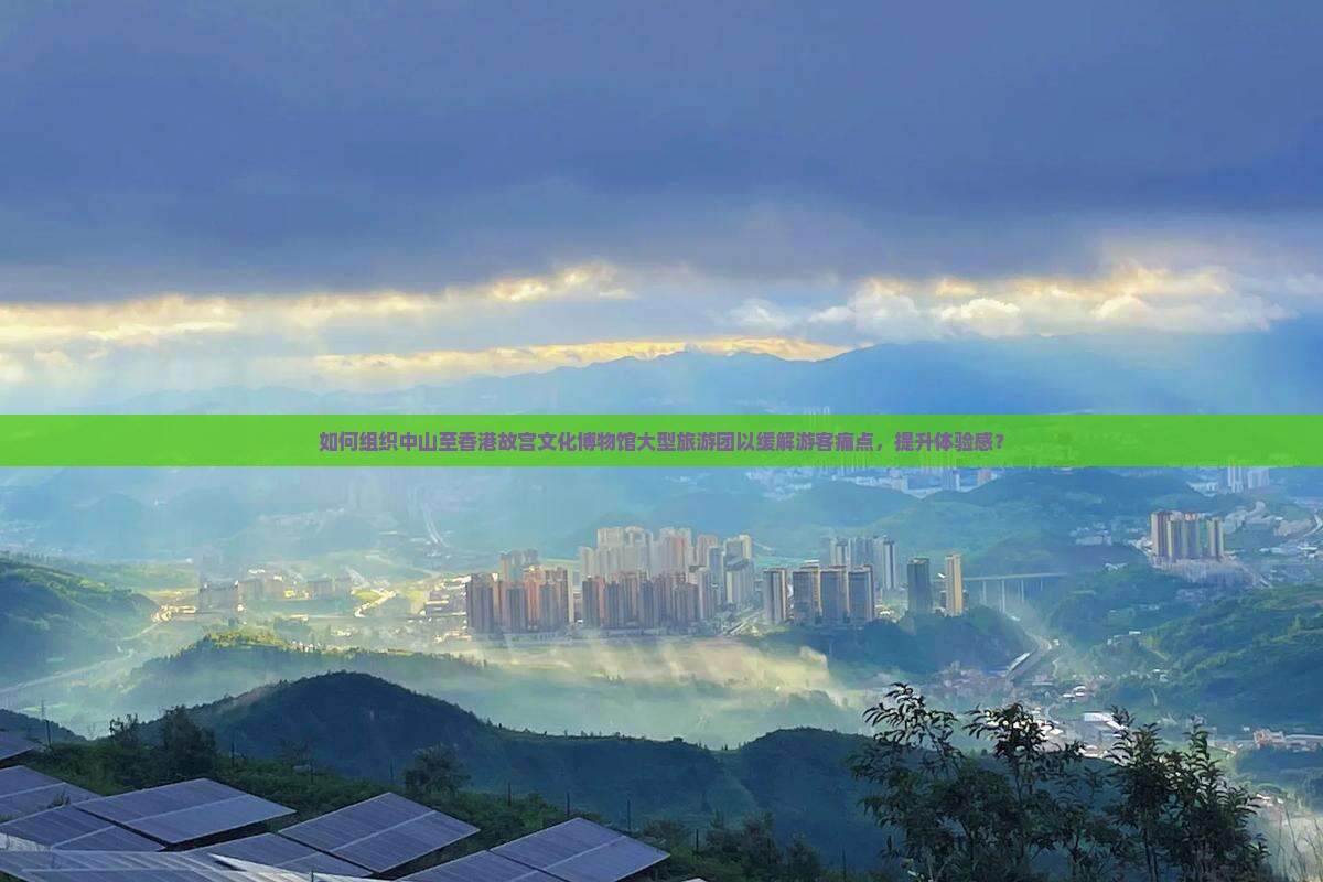 如何组织中山至香港故宫文化博物馆大型旅游团以缓解游客痛点，提升体验感？