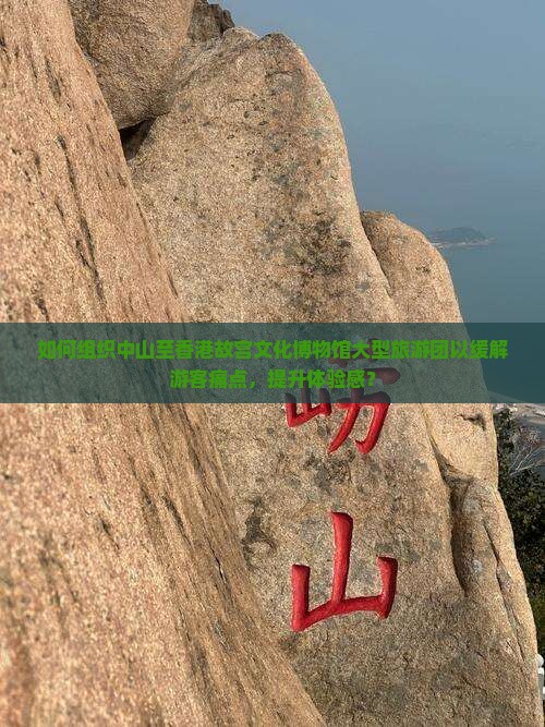 如何组织中山至香港故宫文化博物馆大型旅游团以缓解游客痛点，提升体验感？