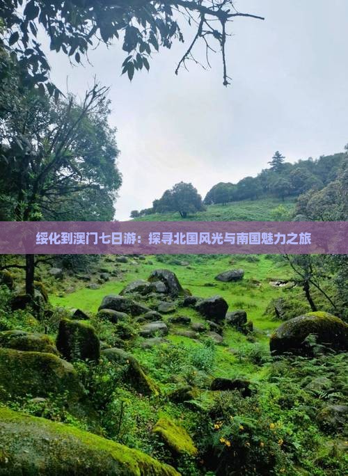 绥化到澳门七日游：探寻北国风光与南国魅力之旅