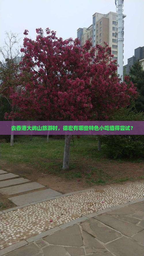 去香港大屿山旅游时，德宏有哪些特色小吃值得尝试？
