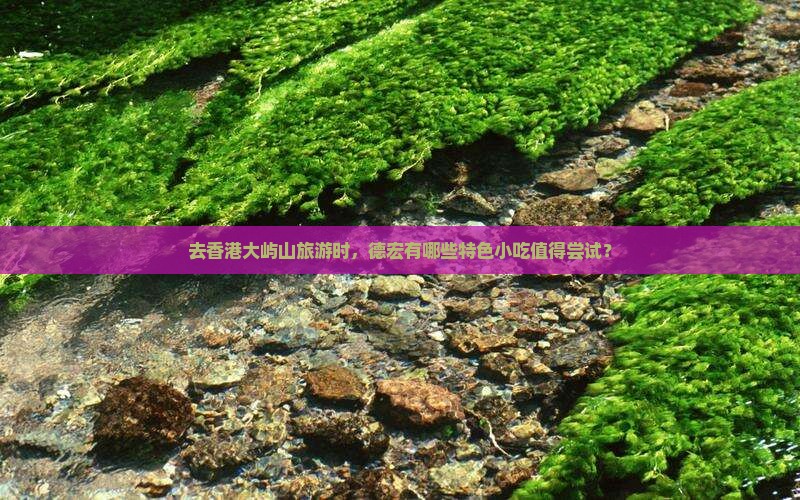 去香港大屿山旅游时，德宏有哪些特色小吃值得尝试？