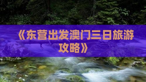 《东营出发澳门三日旅游攻略》