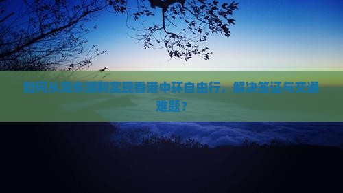 如何从海东顺利实现香港中环自由行，解决签证与交通难题？