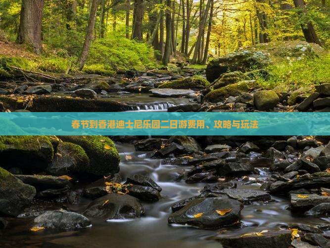 春节到香港迪士尼乐园二日游费用、攻略与玩法