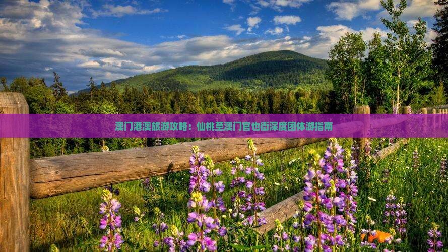 澳门港澳旅游攻略：仙桃至澳门官也街深度团体游指南