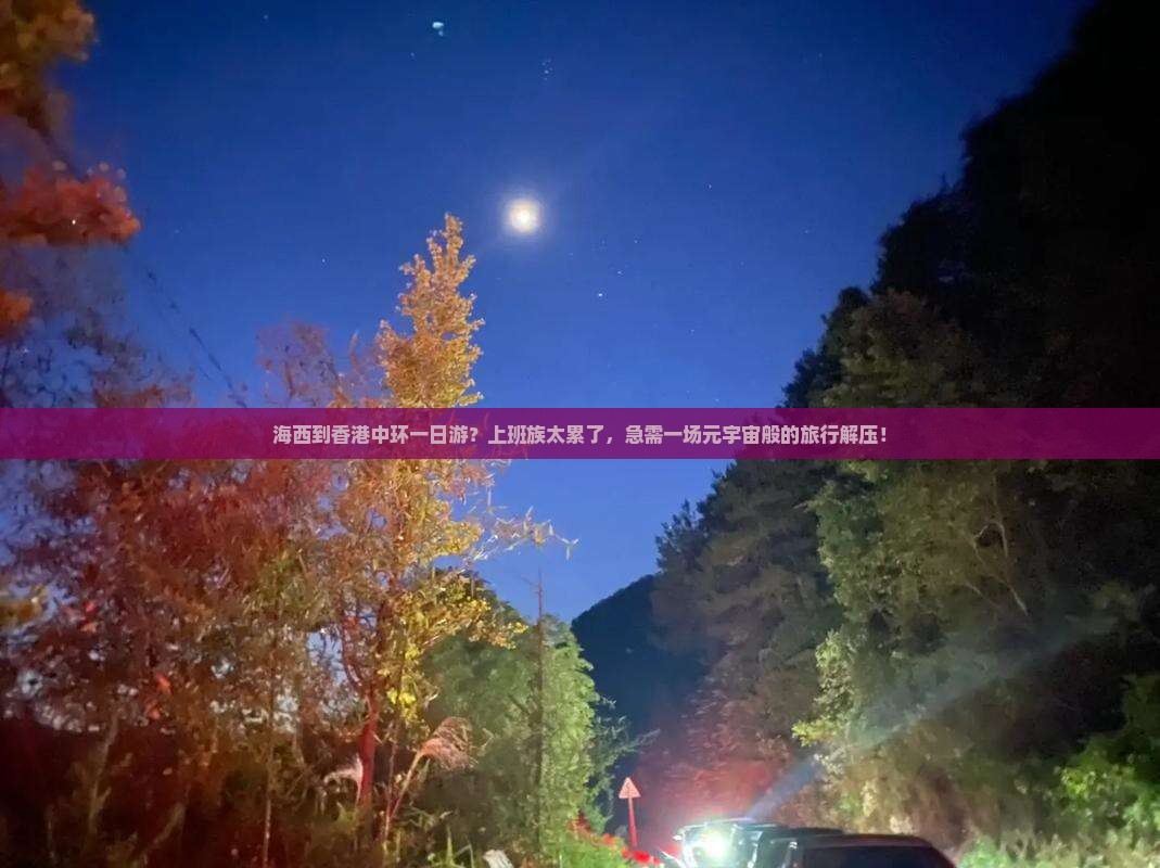 海西到香港中环一日游？上班族太累了，急需一场元宇宙般的旅行解压！