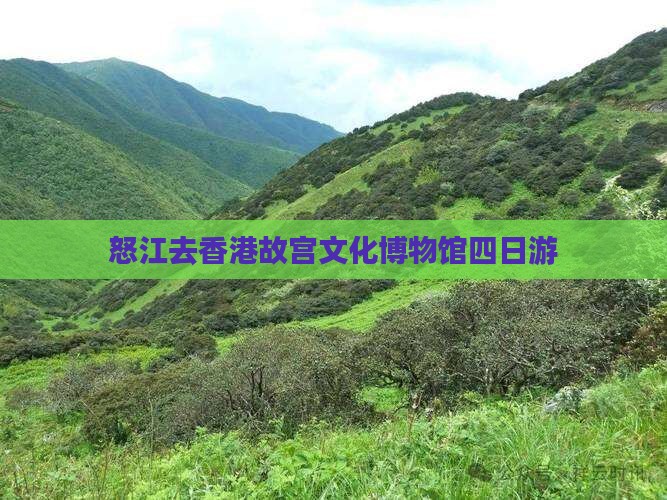 怒江去香港故宫文化博物馆四日游