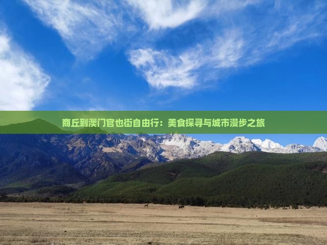 商丘到澳门官也街自由行：美食探寻与城市漫步之旅