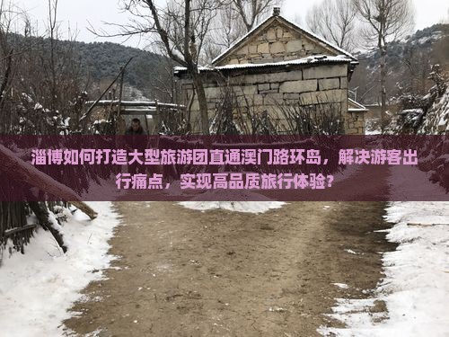 淄博如何打造大型旅游团直通澳门路环岛，解决游客出行痛点，实现高品质旅行体验？