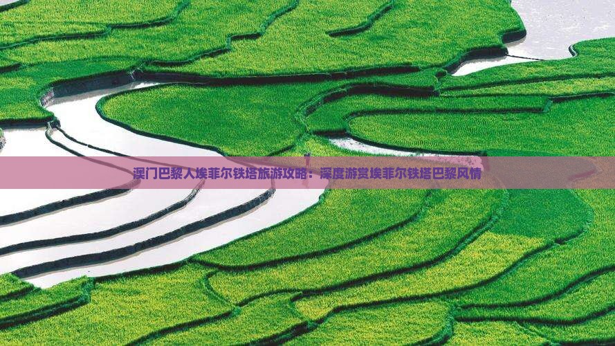 澳门巴黎人埃菲尔铁塔旅游攻略：深度游赏埃菲尔铁塔巴黎风情