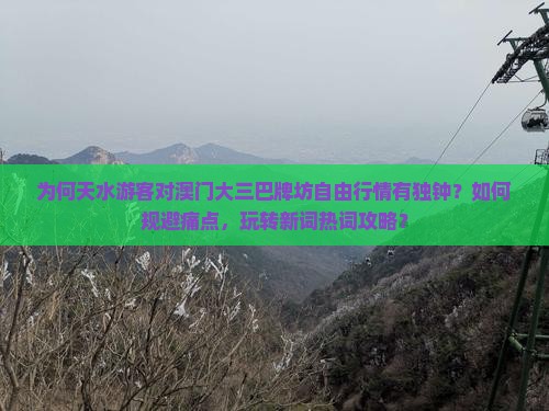 为何天水游客对澳门大三巴牌坊自由行情有独钟？如何规避痛点，玩转新词热词攻略？
