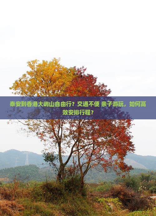 泰安到香港大屿山自由行？交通不便+亲子游玩，如何高效安排行程？