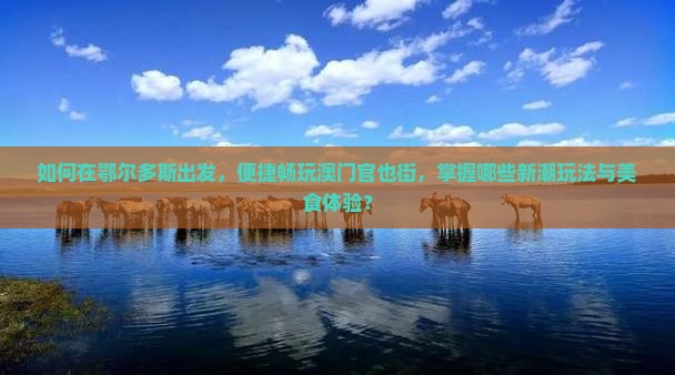 如何在鄂尔多斯出发，便捷畅玩澳门官也街，掌握哪些新潮玩法与美食体验？