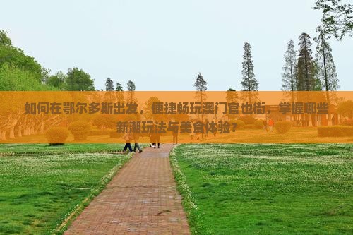 如何在鄂尔多斯出发，便捷畅玩澳门官也街，掌握哪些新潮玩法与美食体验？