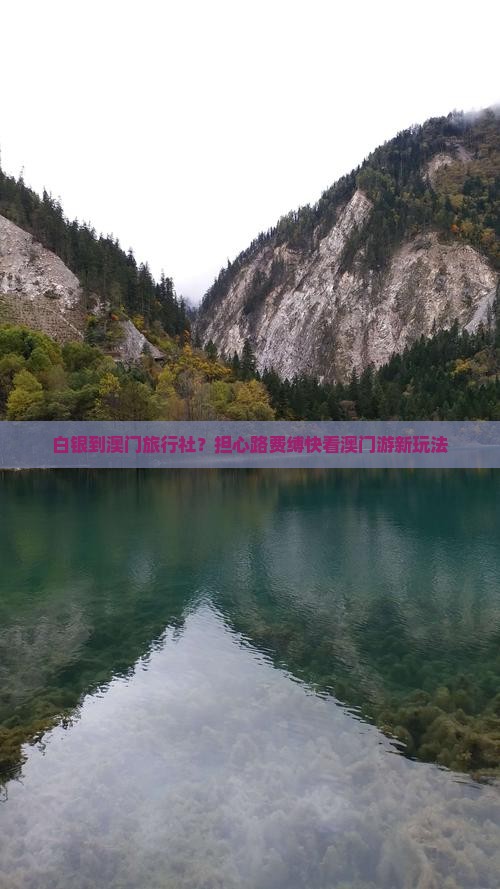 白银到澳门旅行社？担心路费缚快看澳门游新玩法