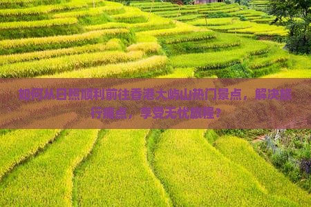 如何从日照顺利前往香港大屿山热门景点，解决旅行痛点，享受无忧旅程？