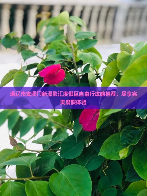 通辽市去澳门新濠影汇度假区自由行攻略推荐，尽享完美度假体验