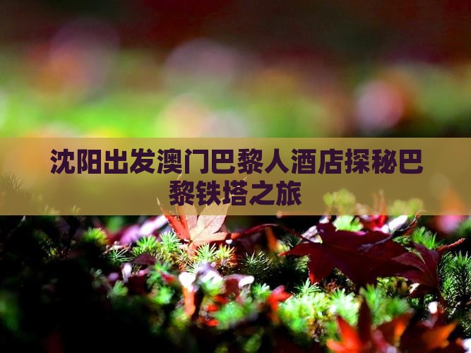 沈阳出发澳门巴黎人酒店探秘巴黎铁塔之旅