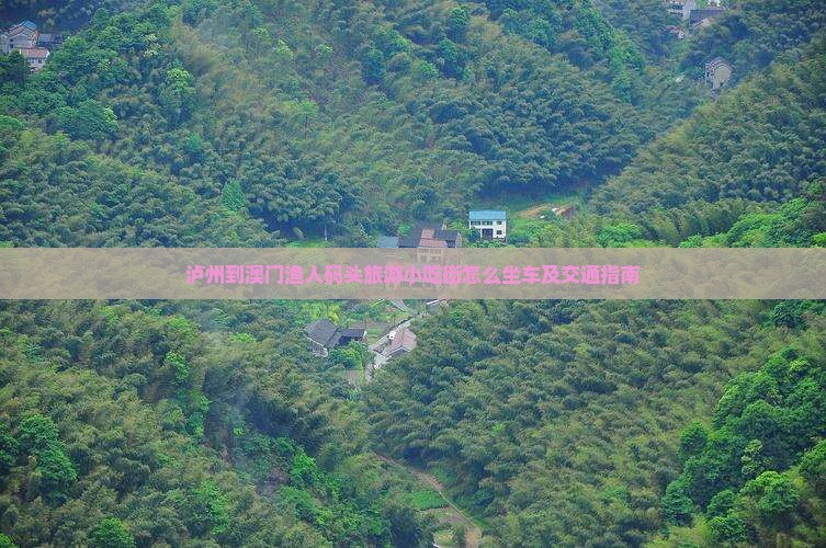 泸州到澳门渔人码头旅游小吃街怎么坐车及交通指南