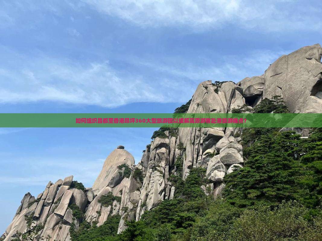 如何组织昌都至香港昂坪360大型旅游团以缓解高原游客赴港旅游痛点？