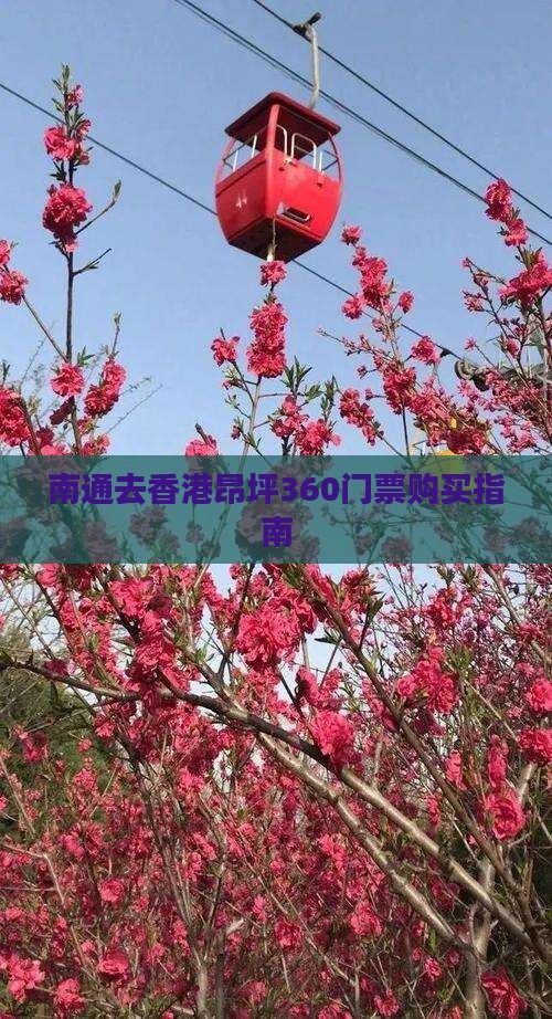 南通去香港昂坪360门票购买指南