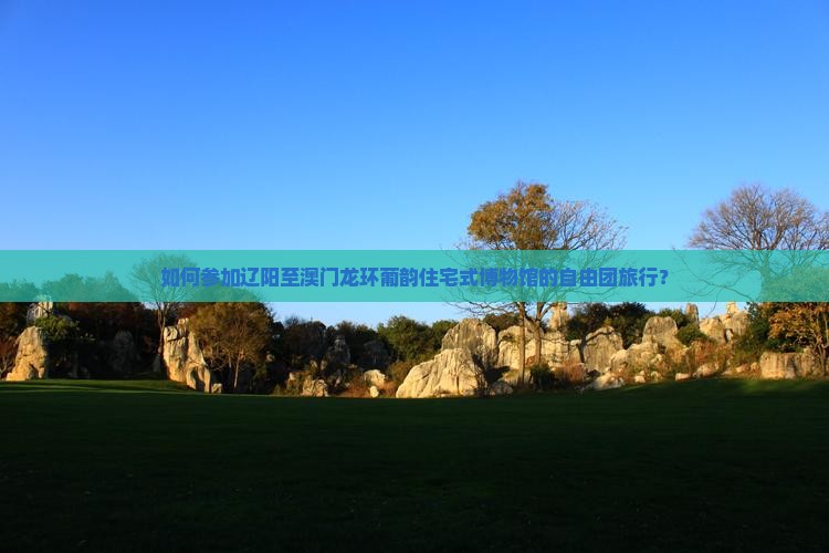 如何参加辽阳至澳门龙环葡韵住宅式博物馆的自由团旅行？