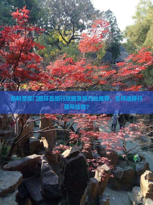 垦利至澳门路环岛旅行攻略及旅行社推荐，怎样选择行程与住宿？