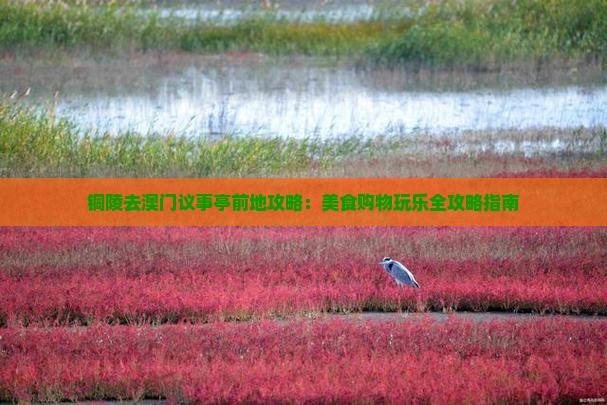 铜陵去澳门议事亭前地攻略：美食购物玩乐全攻略指南