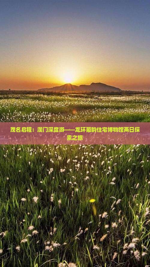 茂名启程：澳门深度游——龙环葡韵住宅博物馆两日探索之旅