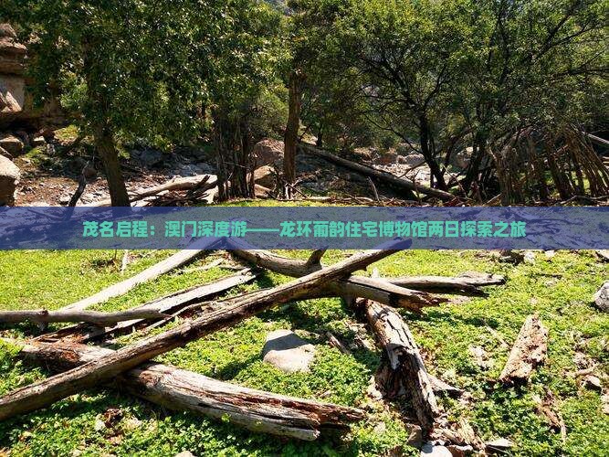 茂名启程：澳门深度游——龙环葡韵住宅博物馆两日探索之旅