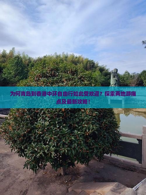 为何青岛到香港中环自由行如此受欢迎？探索两地游痛点及最新攻略！