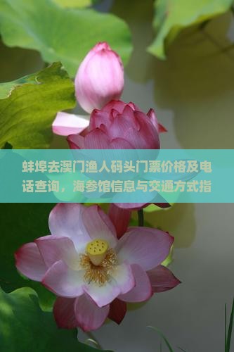 蚌埠去澳门渔人码头门票价格及电话查询，海参馆信息与交通方式指南