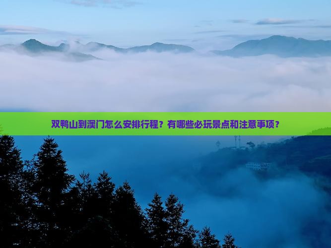 双鸭山到澳门怎么安排行程？有哪些必玩景点和注意事项？