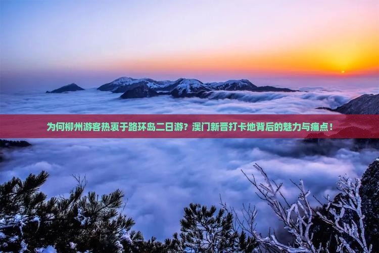 为何柳州游客热衷于路环岛二日游？澳门新晋打卡地背后的魅力与痛点！