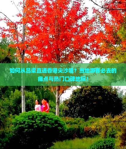 如何从吕梁直通香港尖沙咀？当地游客必去的痛点与热门口碑地标！
