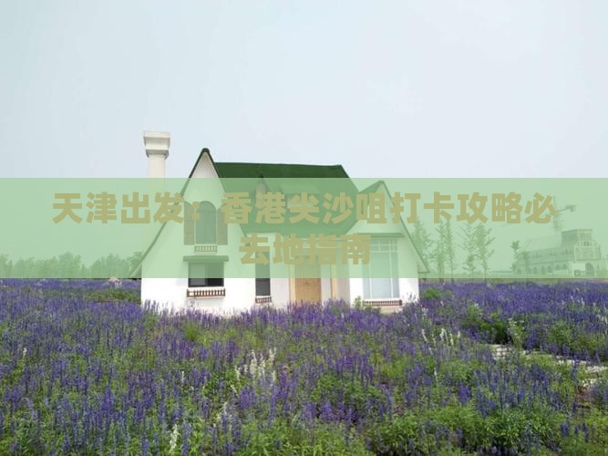 天津出发：香港尖沙咀打卡攻略必去地指南