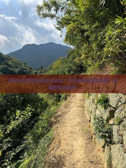 如何从辽阳前往香港大屿山？五日游行程是怎样的？有哪些景点推荐？