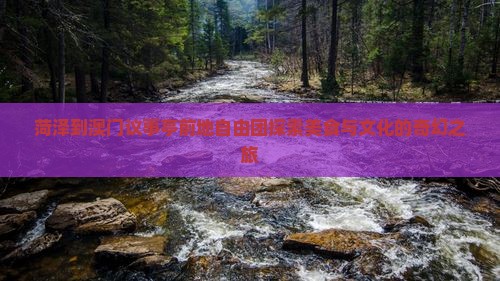 菏泽到澳门议事亭前地自由团探索美食与文化的奇幻之旅