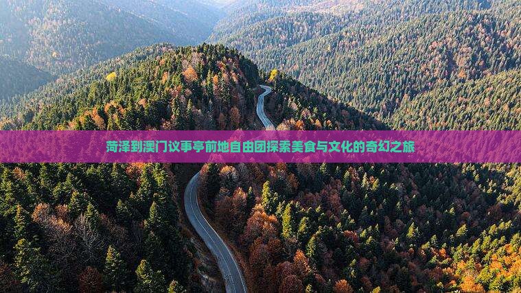 菏泽到澳门议事亭前地自由团探索美食与文化的奇幻之旅