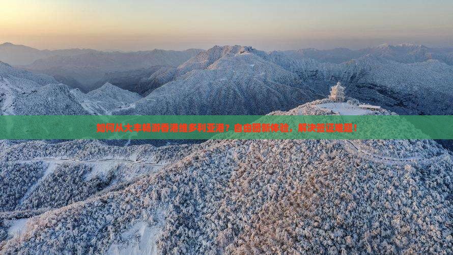 如何从大丰畅游香港维多利亚港?自由团新体验,解决签证难题! 如何从大丰畅游香港维多利亚港?自由团新体验,解决签证难题!