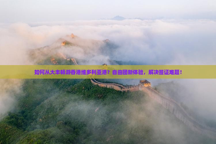 如何从大丰畅游香港维多利亚港?自由团新体验,解决签证难题! 如何从大丰畅游香港维多利亚港?自由团新体验,解决签证难题!