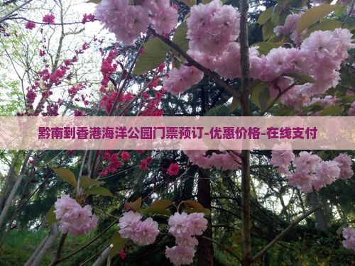 黔南到香港海洋公园门票预订-优惠价格-在线支付 黔南到香港海洋公园门票预订-优惠价格-在线支付