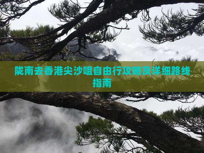 陇南去香港尖沙咀自由行攻略及详细路线指南