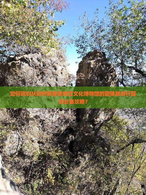如何规划从郑州到香港故宫文化博物馆的团体旅游行程及必备攻略？