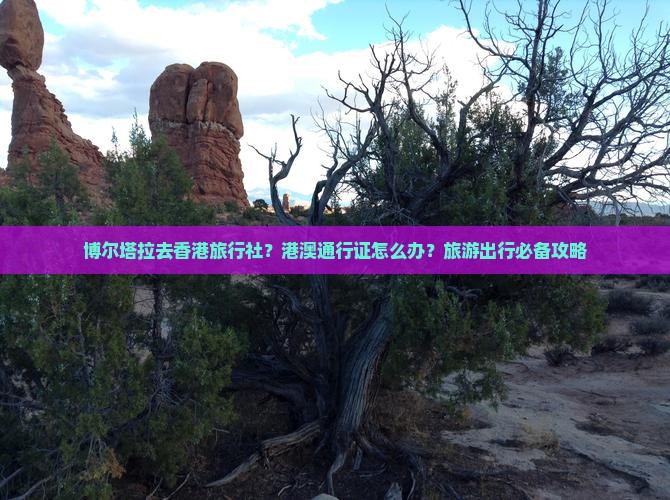 博尔塔拉去香港旅行社？港澳通行证怎么办？旅游出行必备攻略