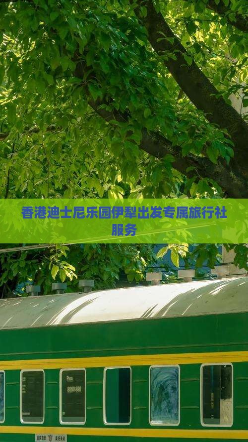 香港迪士尼乐园伊犁出发专属旅行社服务
