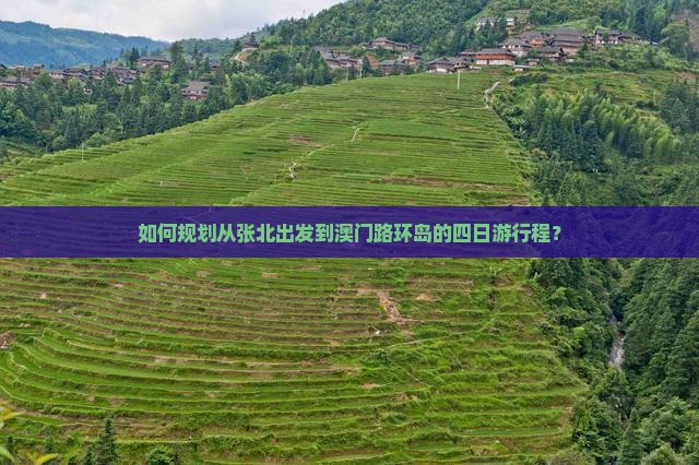 如何规划从张北出发到澳门路环岛的四日游行程？