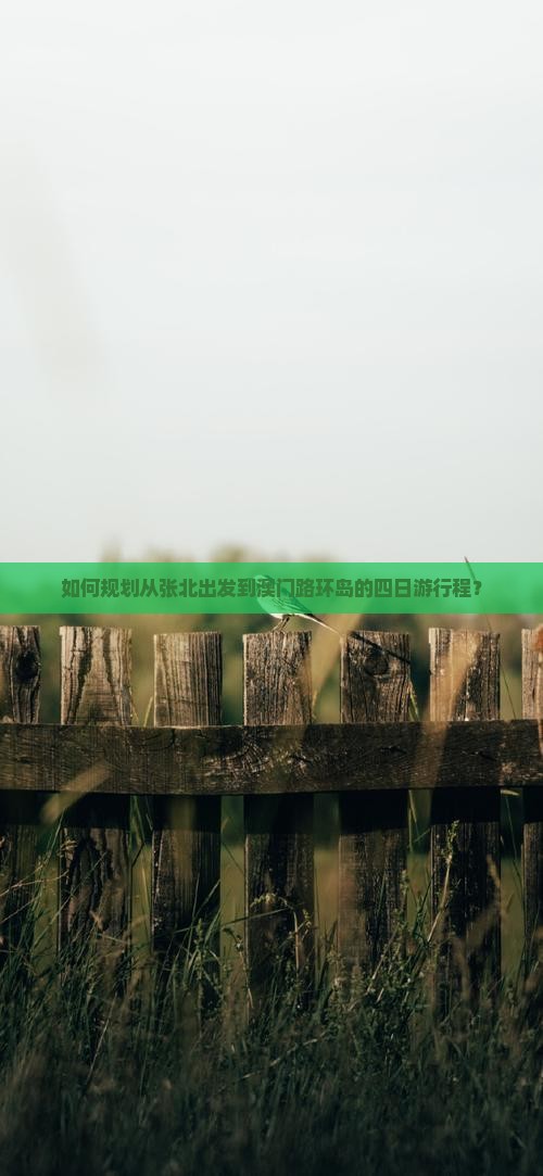 如何规划从张北出发到澳门路环岛的四日游行程？
