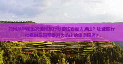如何从阜阳出发选择旅行社前往香港大屿山？哪些旅行社提供阜阳至香港大屿山的旅游服务？