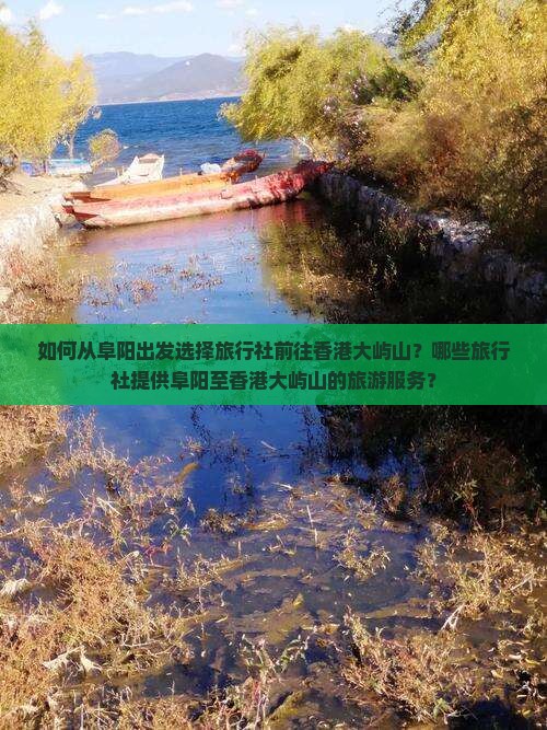 如何从阜阳出发选择旅行社前往香港大屿山？哪些旅行社提供阜阳至香港大屿山的旅游服务？